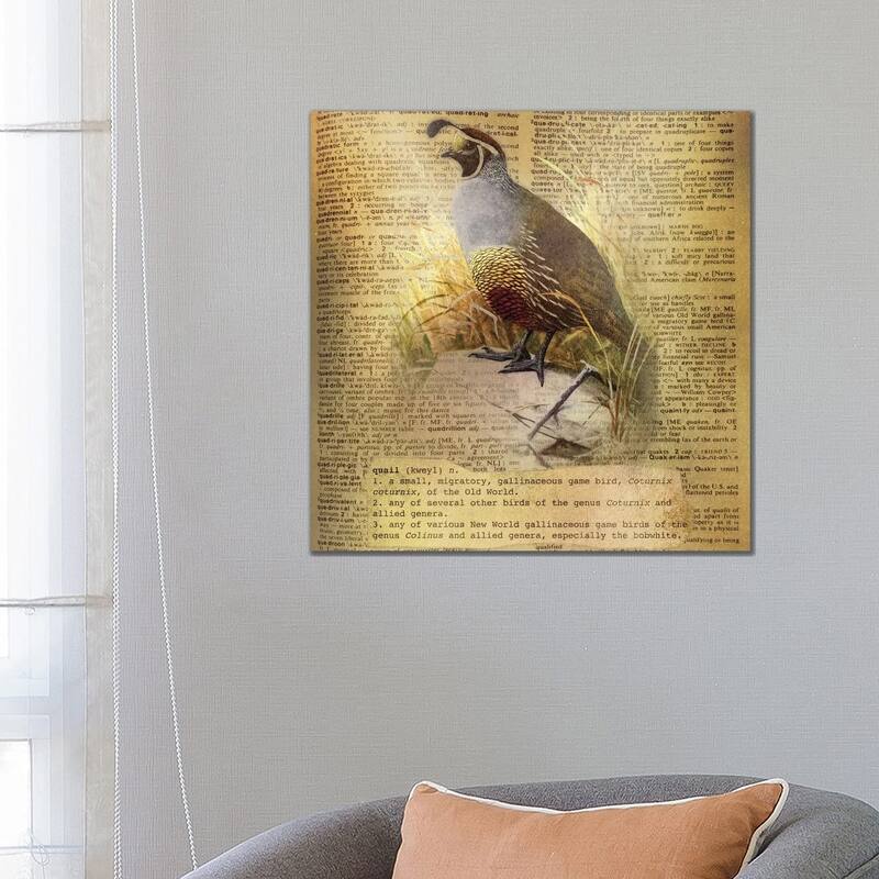iCanvas "Q - Quail Square" by 5by5collective Canvas Print - 26x26x1.5