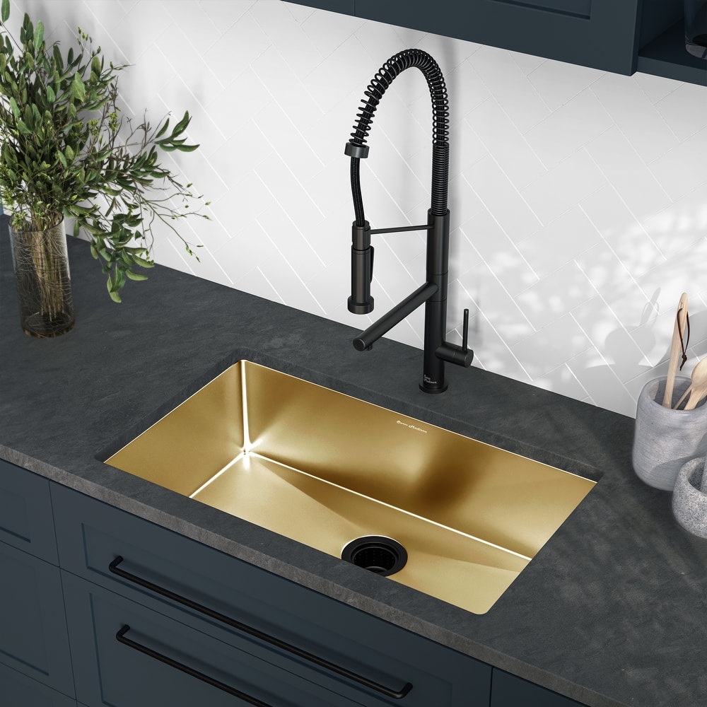 Rivage 30 x 18 Undermount Kitchen Sink