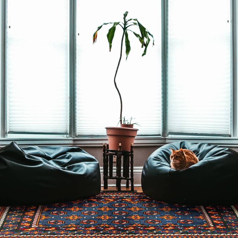 ECARPETGALLERY Hand-knotted Afghan Blue Wool Rug - 3'4 x 4'11