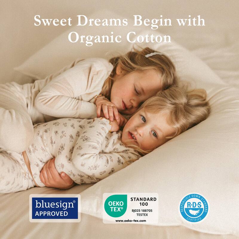 Set of 2 100% Organic Cotton Down Feather Pillow-in-a-pillow Design Bed Pillow