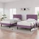 Option Purple