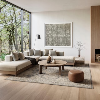 Nourison Astra Machine Washable Distressed Area Rug