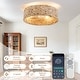 preview thumbnail 13 of 12, 20 Inch Boho Rattan Flush Mount Ceiling Fan with Lights and Remote Control, 6-Speed Reversible Caged Ceiling Fan for Low Profile
