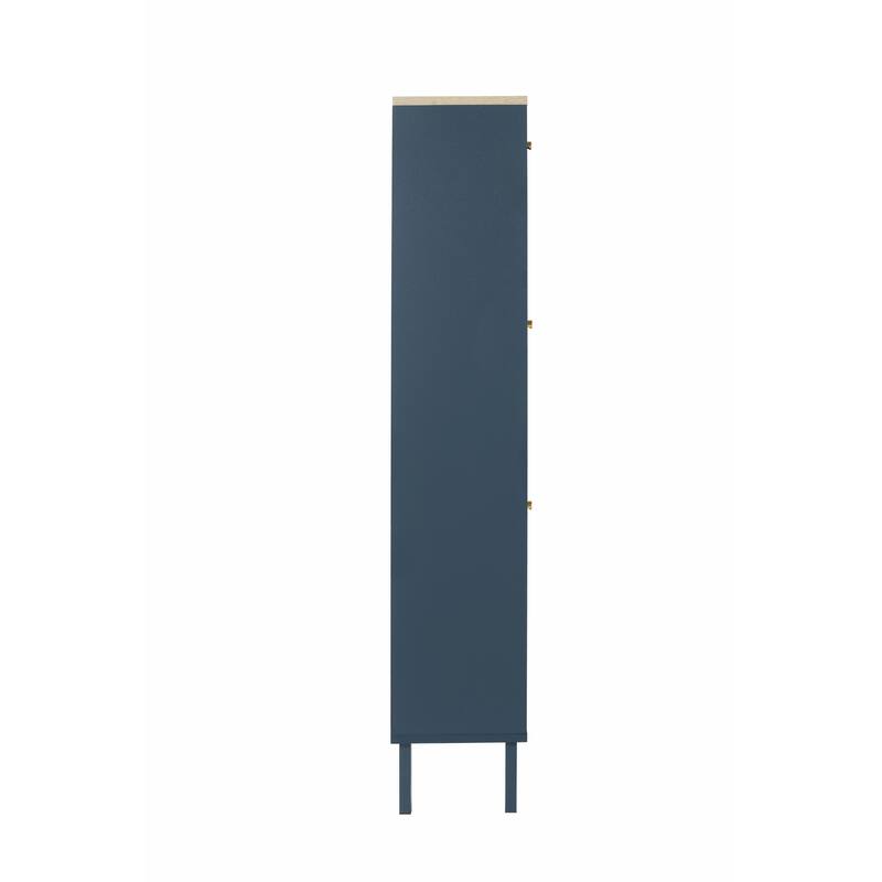 Modern Freestanding Shoe Storage Cabinet with 3 Metal Doors