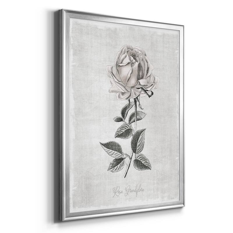 Vintage Botanical II Premium Framed Print - Ready to Hang