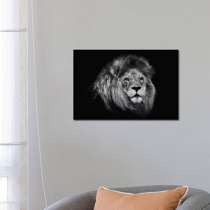 iCanvas "African Lion In Black And White" by David Whelan Canvas Print - 18x26x1.5
