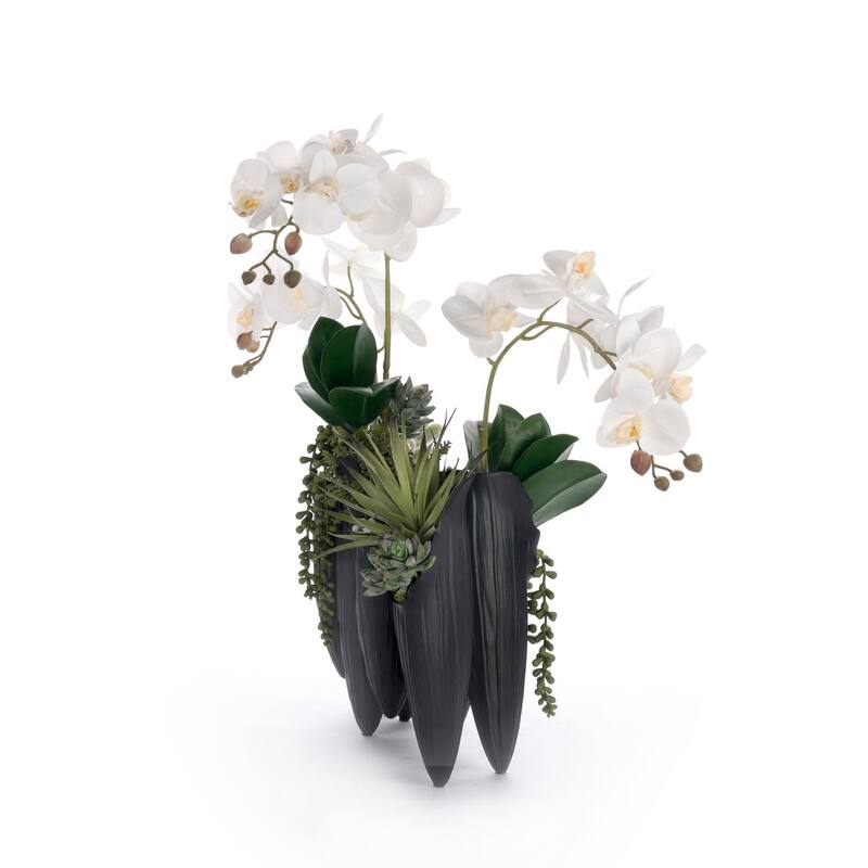 Real Touch White Orchid Succulent Floral in Black Pot