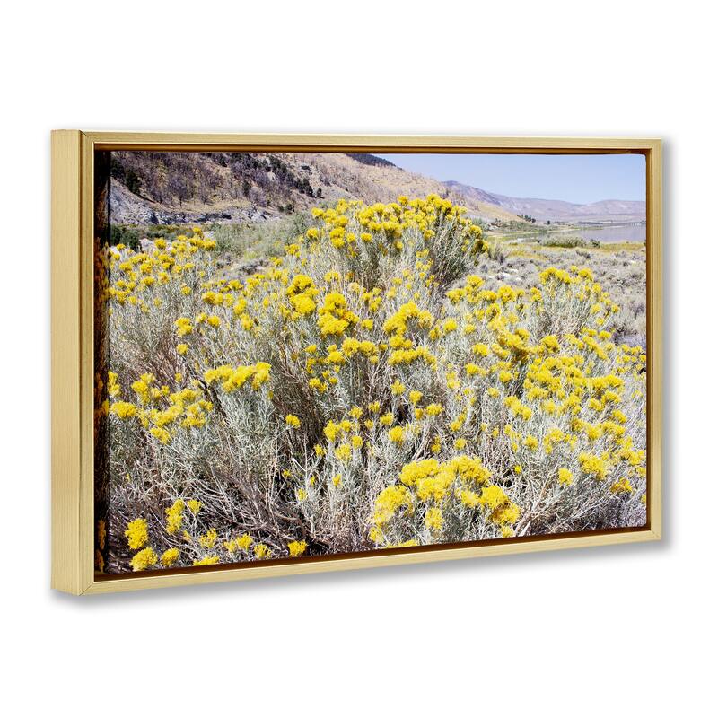 Stupell Yellow Flowers in Arid Meadow Framed Floater Canvas Wall Art Design By Gemma Bardot