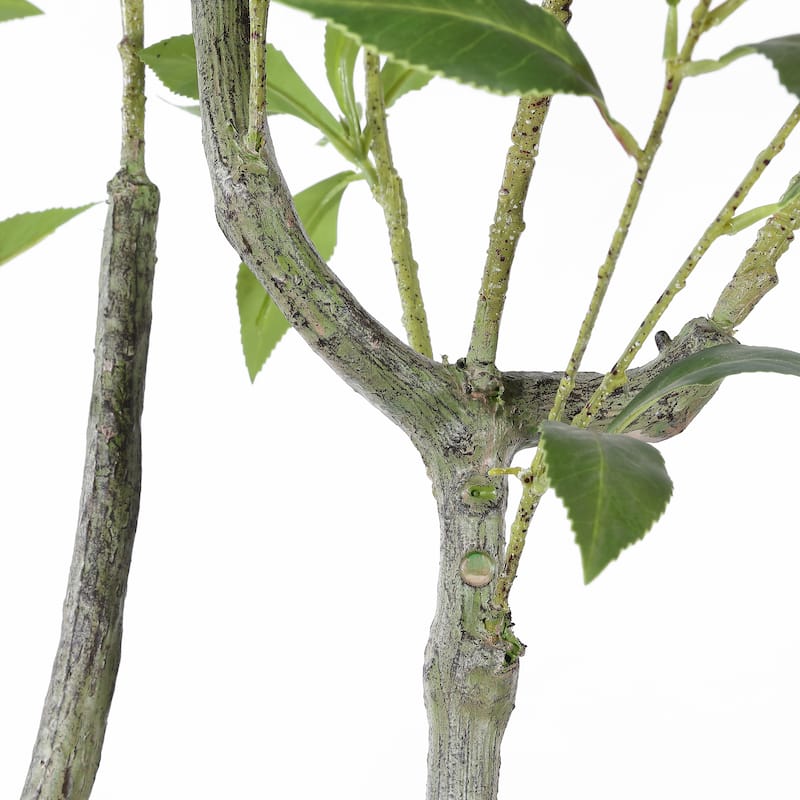 SAFAVIEH Valinda Faux 60" Potted Pierisjaponica - 30"W x 30"D x 60"H - 30Wx30Dx60H