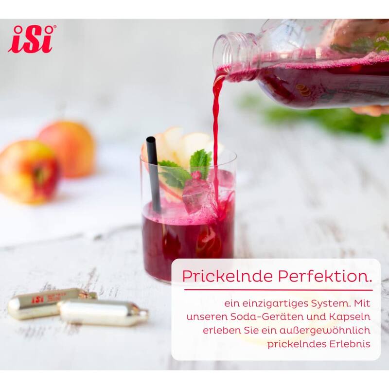 iSi North America 10 pack CO2 Soda Siphon Chargers Set