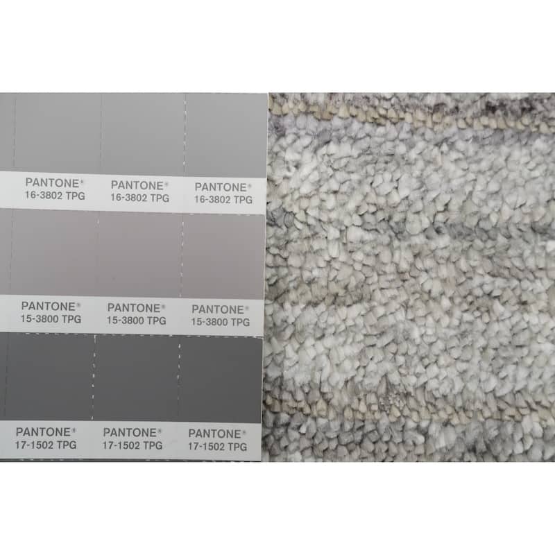 Hand Knotted Oriental Viscose Silk Carpet Tribal Animal Pictorial Greys & Charcoal Gabbeh Area Rug - 11' 9'' X 8' 9''