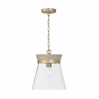Finn 1-light Pendant w/ Clear Glass
