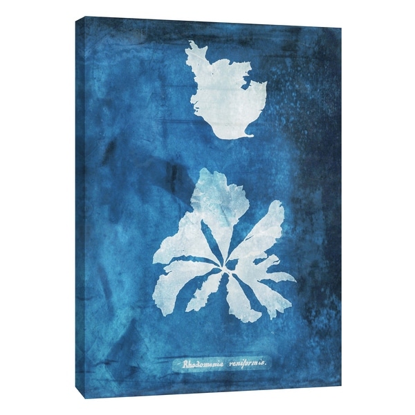 PTM Images 9-105778 PTM Canvas Collection 10" x 8" - "Natural Forms Blue 9" Giclee Seaweed Art Print on Canvas