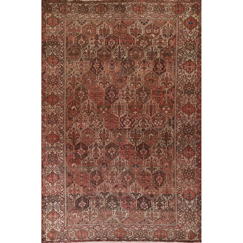 Garden Design Bakhtiari Persian Vintage Rug Hand-Knotted Wool Carpet - 6'9"x 9'11"