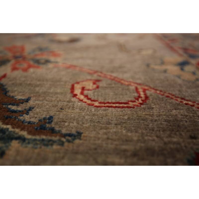 Vegetable Dye Ziegler Oriental Runner Rug Hand-Knotted Wool Carpet - 2'9" x 9'9"