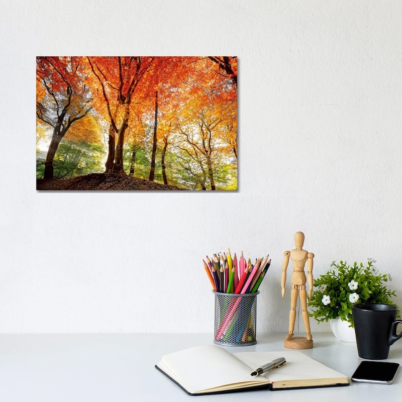 iCanvas "Prism Of Light" by Lars van de Goor Canvas Print - 8x12x0.75