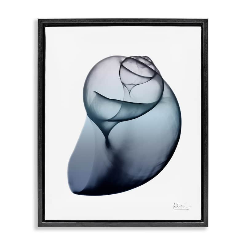 Stupell Contemporary Snail Shell Framed Floater Canvas Wall Art Design by Albert Koetsier