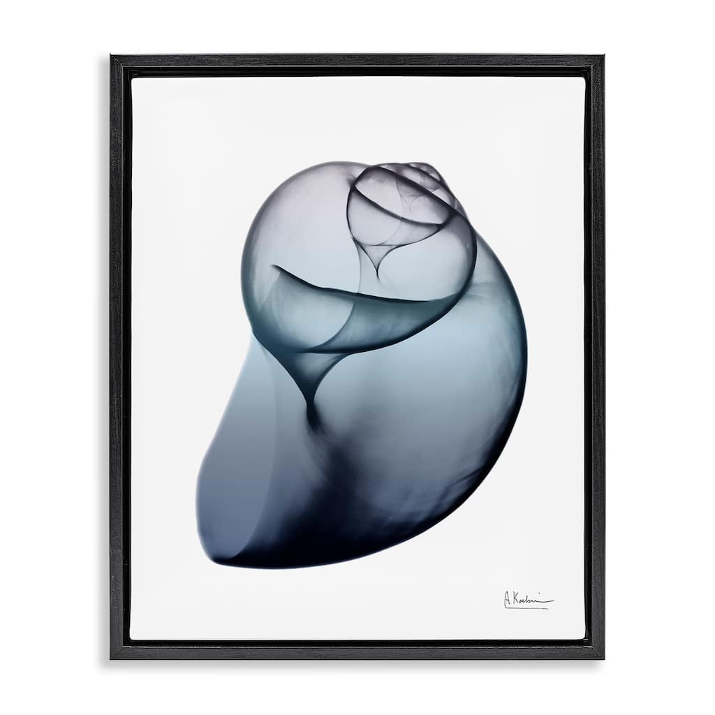 Stupell Contemporary Snail Shell Framed Floater Canvas Wall Art Design by Albert Koetsier