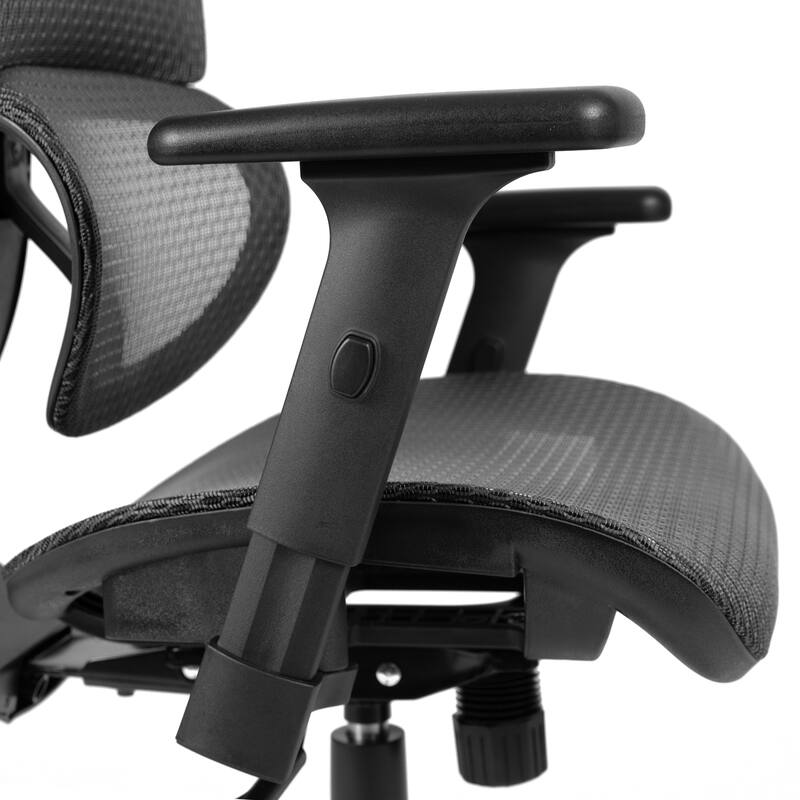Ergonomic Mesh Office Chair with Synchro-Tilt, Headrest, Adjustable Pivot Arms