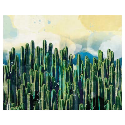 Desert Colors by Studio Arts Canvas Art Print