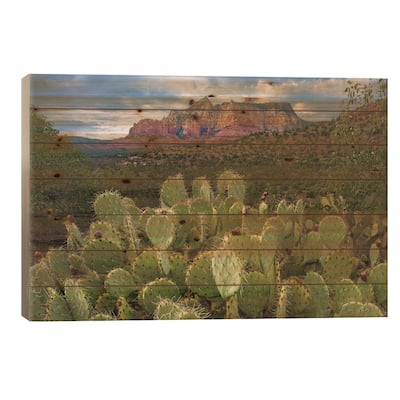 Opuntia Cactus And Mountain, Red Rock-Secret Mountain Wilderness, Arizona Print On Wood by Tim Fitzharris - Multi-Color