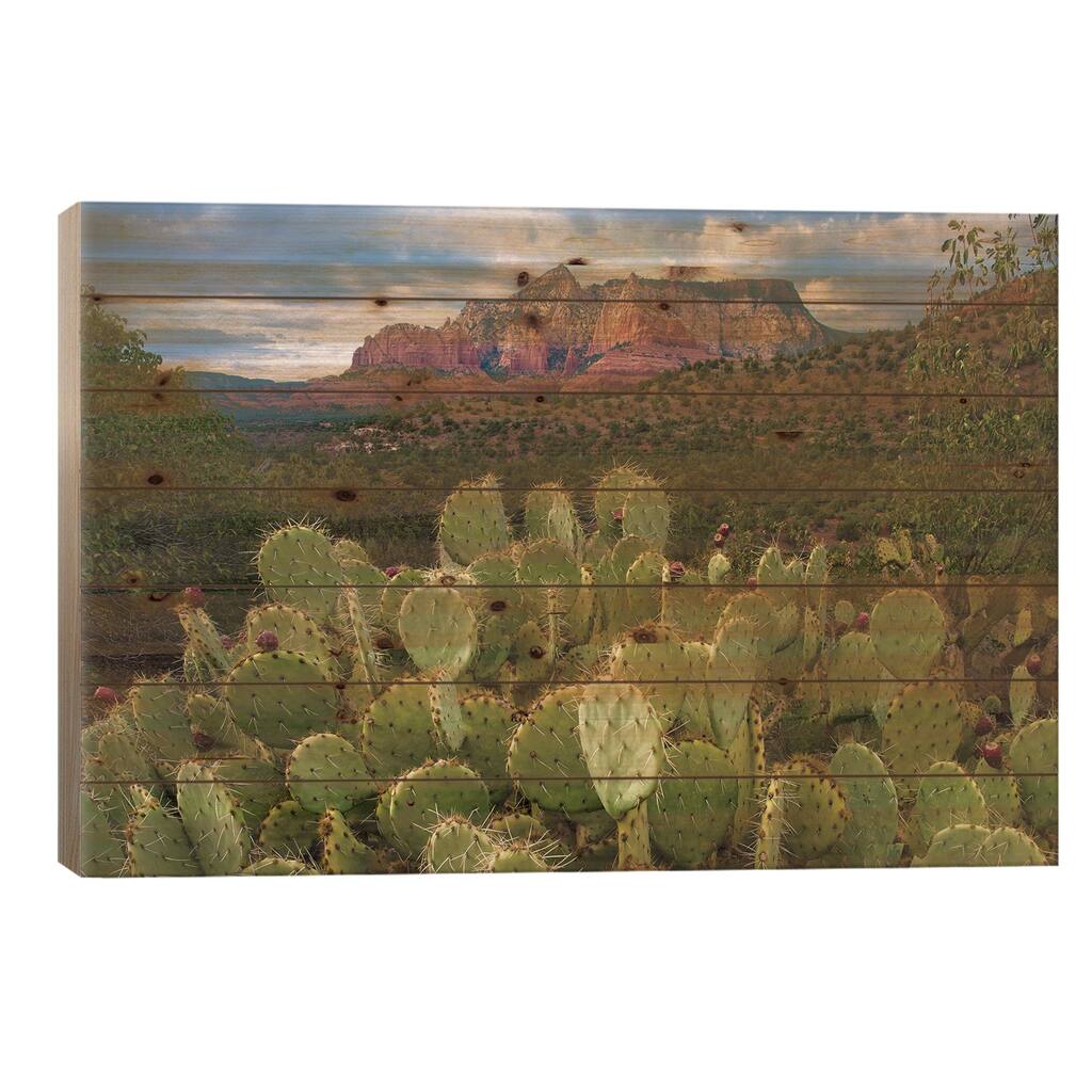 Opuntia Cactus And Mountain, Red Rock-Secret Mountain Wilderness, Arizona Print On Wood by Tim Fitzharris - Multi-Color