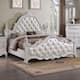 Option White