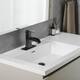 Option Oil-Rubbed Bronze