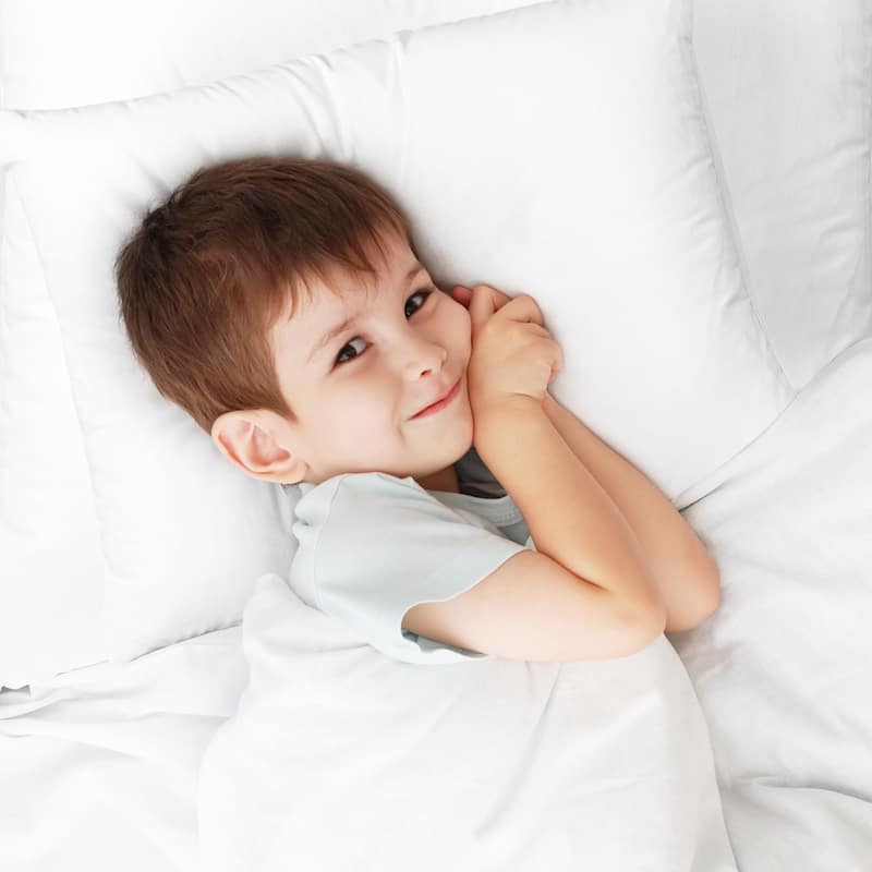 Nestl 100% Cotton Cover Premium Plush Down Alternative Bed Pillow
