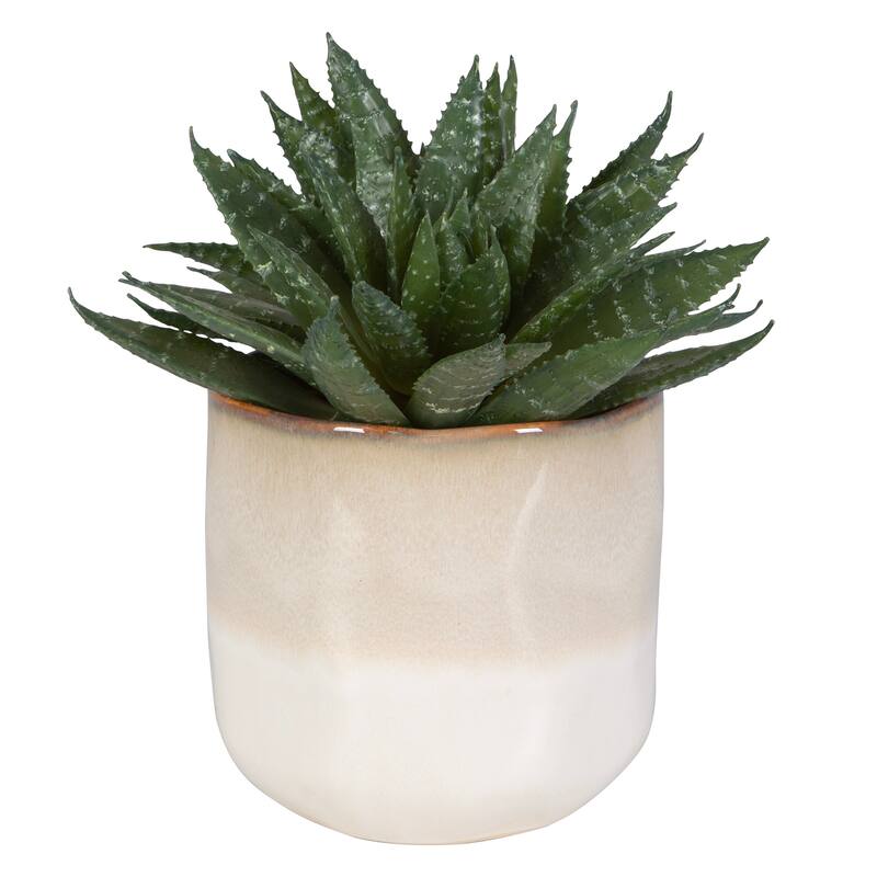 Uttermost Doha Succulent Accent - 11"W x 10.5"H x 9"D