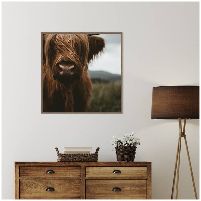 Kate and Laurel Close Up of Scottish Highland Cattle Baby SQ by Michael Schauer Framed Canvas Wall Art Print