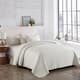 Option Ivory