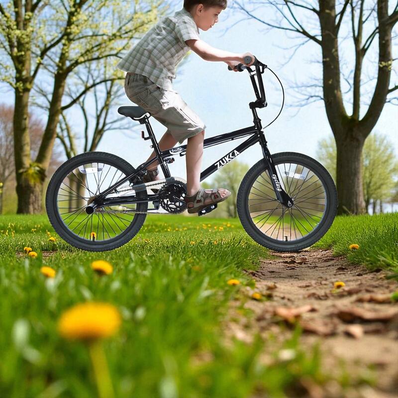 20 Inch Freestyle Kids Bike, Single Speed, Steel Frame with Caliper and V Brakes, Boys & Girls Ages 7+