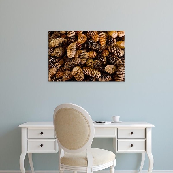 Easy Art Prints Jaynes Gallery's 'Pile Of Female Pine Cones' Premium Canvas Art