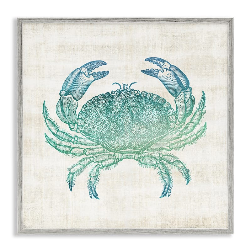 Stupell Ombre Crab Impression Framed Giclee Art Design By Susan Arnot - 24 x 24 - Grey