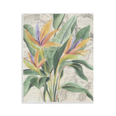 Stupell Bird of Paradise over Map Wall Plaque Art Design By June Erica Vess