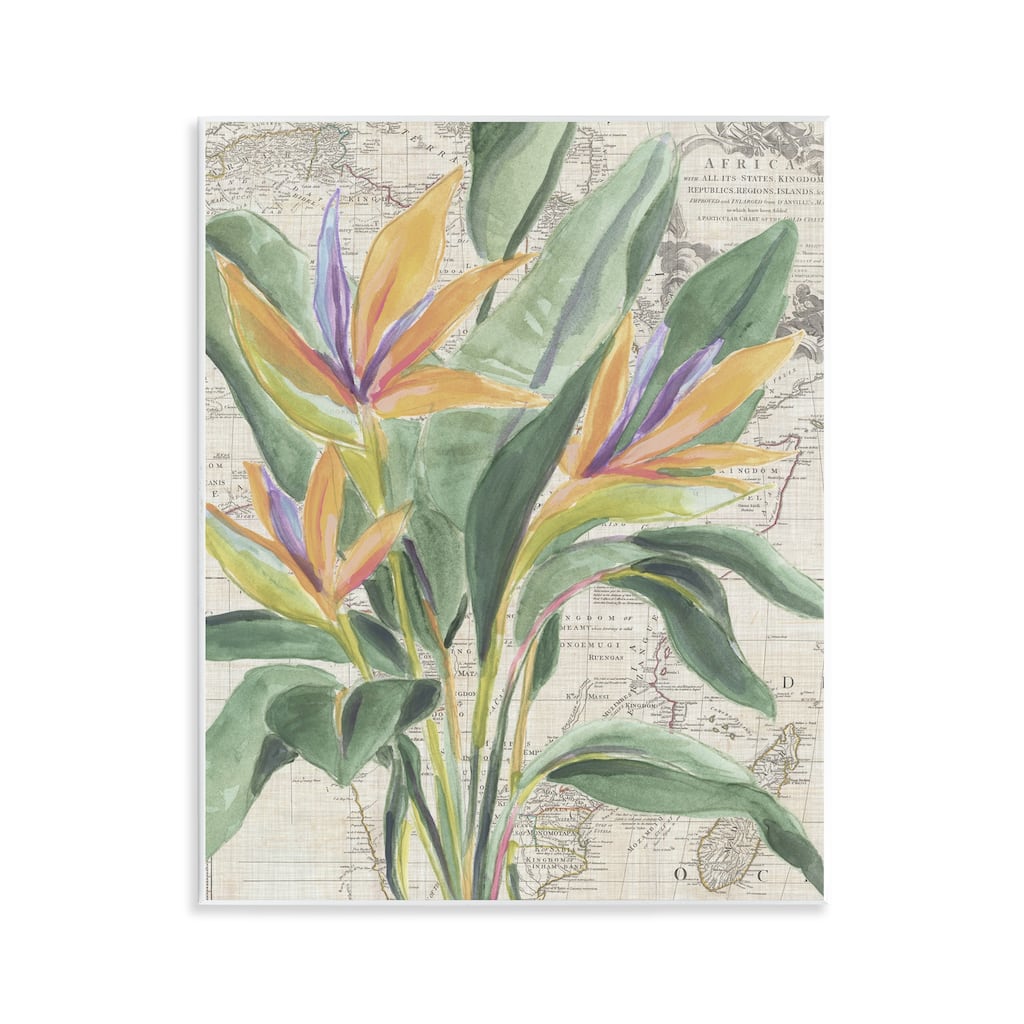 Stupell Bird of Paradise over Map Wall Plaque Art Design By June Erica Vess