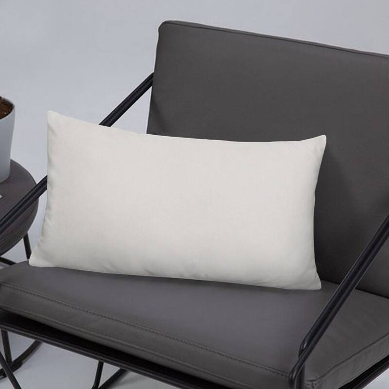 A1HC Pack of 2 Velvet Throw Pillow Covers, Hidden Zipper Closure