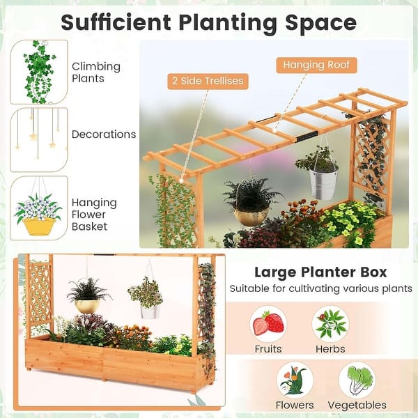 indoor house plant hangers Plant Hanger Suncatcher  Seedor