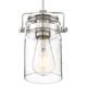 Option Brushed Nickel / Clear