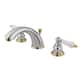 Option Polished Chrome/Polished Brass