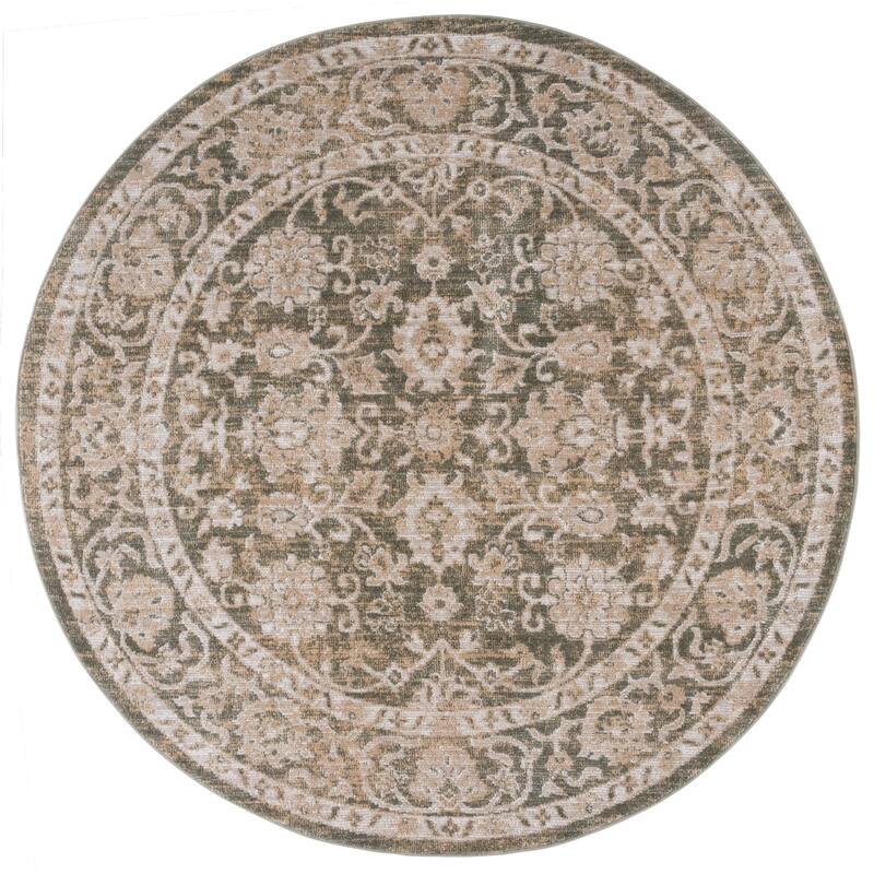 SAFAVIEH Hazel Aina Traditional Oriental Rug