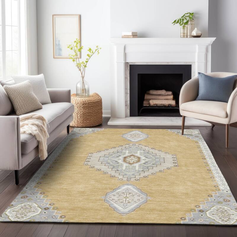 Machine Washable Indoor/ Outdoor Boho Traditional Chantille Rug