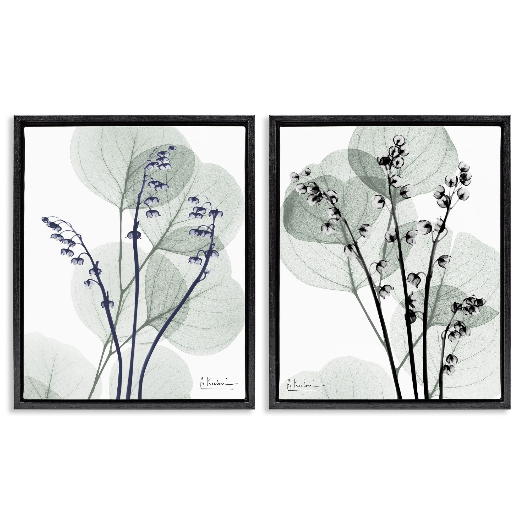 Stupell Future Dusk Opaque Herbs Framed Floater Canvas Wall Art Design By Albert Koetsier (Set of 2)