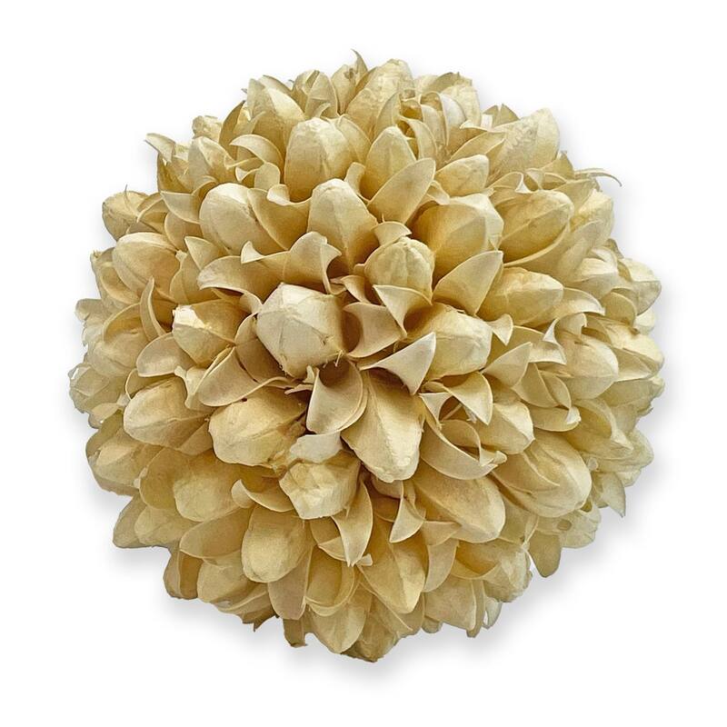 Handmade Preserved Topiary Balls – Set of 9 Decorative Floral Orbs - 4 inch