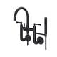 preview thumbnail 9 of 8, Pfister Tisbury Wall Mounted Tub Filler with Hand Shower
