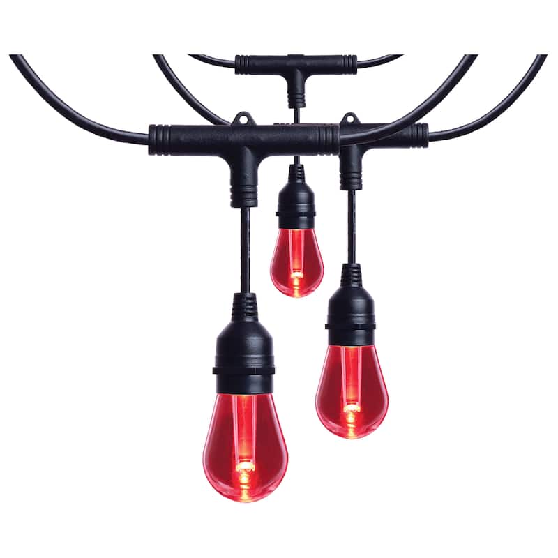 Starfish 24 Foot LED String Light 12-S14 Lamps IOT RGBTW Black 120 Volt