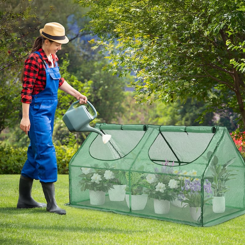 Aoodor 4 ft. x 2 ft. x 2 ft. Mini Greenhouse 2 Zipper Doors