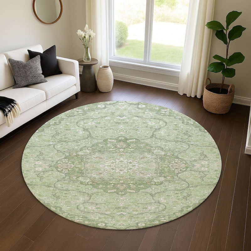 Premium Washable Super Soft Traditional Parman Mayfield Rug - Aloe - 8' x 8'