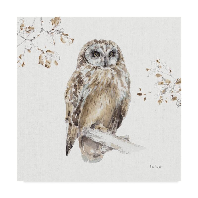 Lisa Audit 'Woodland Walk Viii Owl' Canvas Art